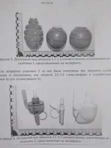 Курянин получил условный срок за хранение найденных гранат