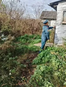 В Мантуровском районе с начала года произошло 45 пожаров