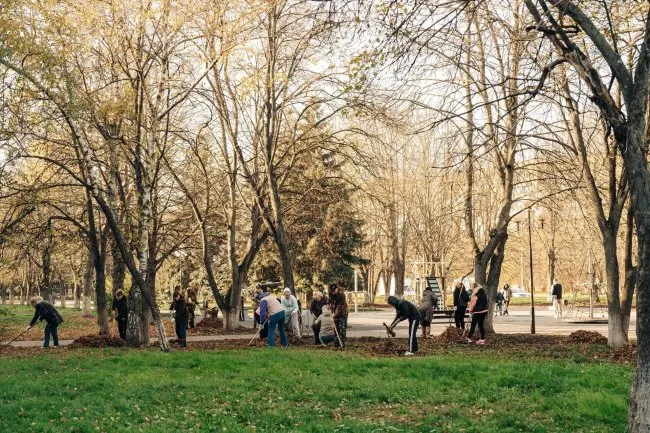 В Курской области впервые прошёл осенний общеобластной субботник
