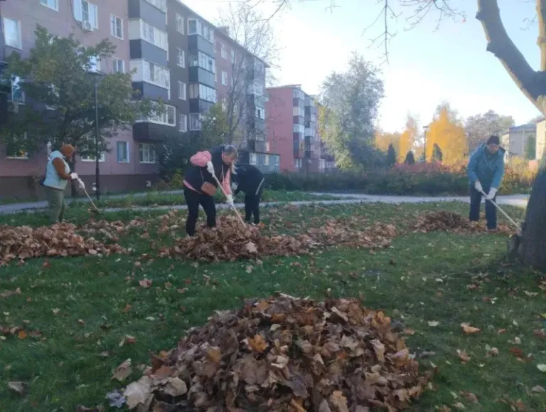 В Курске чиновники собрали 35 мешков мусора в сквере на Белгородской